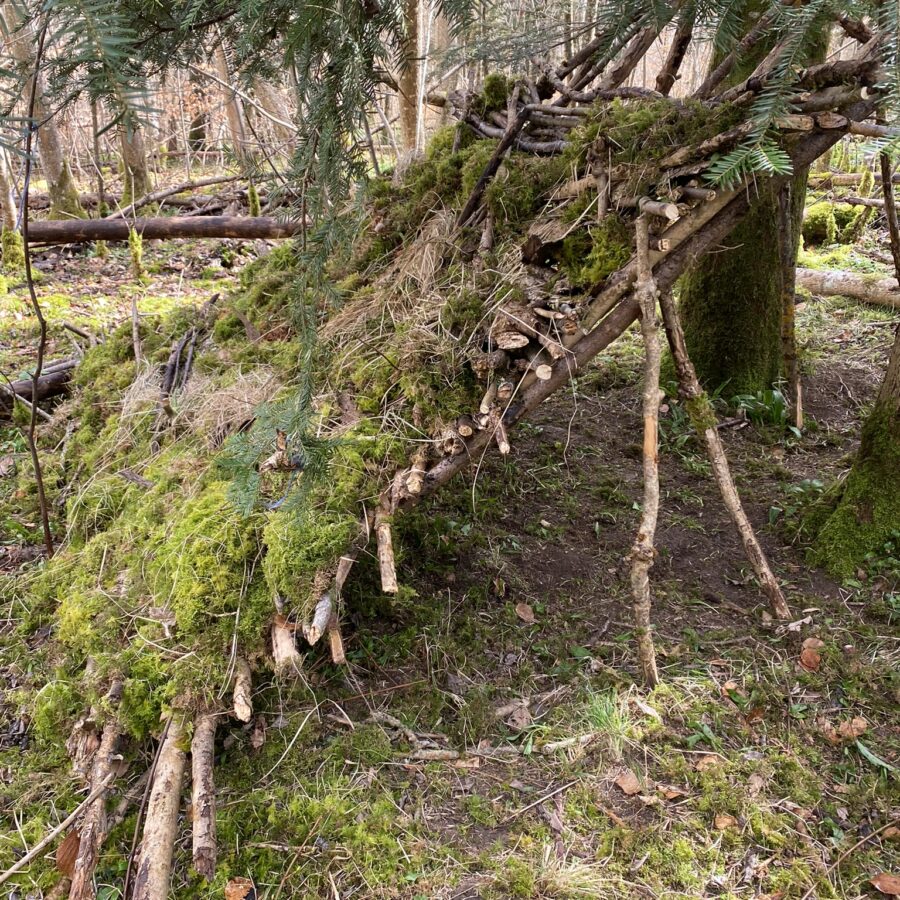 Einen Unterschlupf bauen