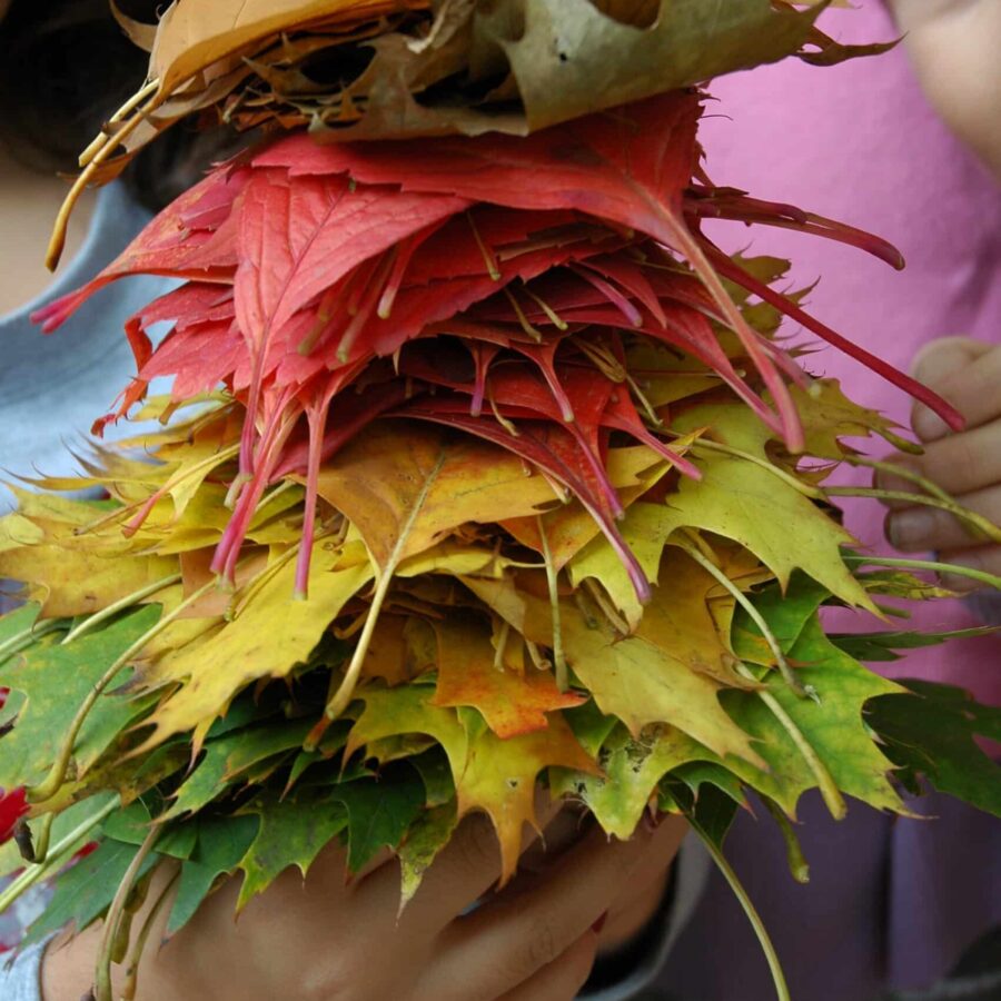 Landart im Herbstwind