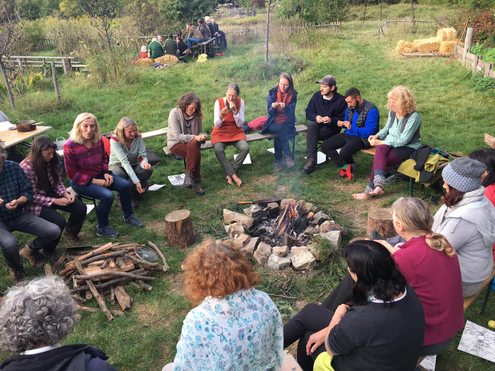 Dialog mit Bäumen 2021