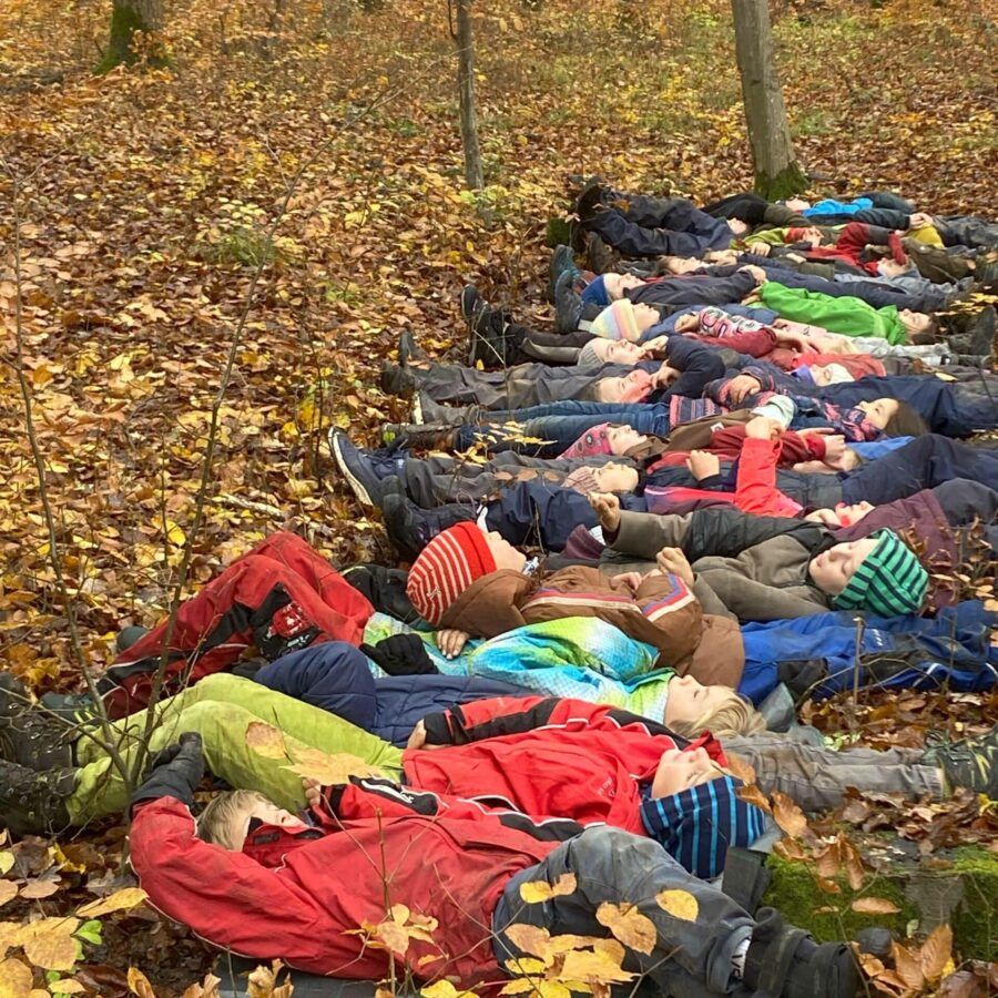 Baummeditation, 3. Klasse