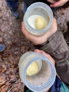 Read more about the article Butter im Novemberwald